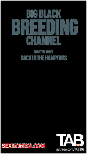 Порно комикс Большой черный канал разведения. Часть 3. Big Black Breeding Channel. TAB109.