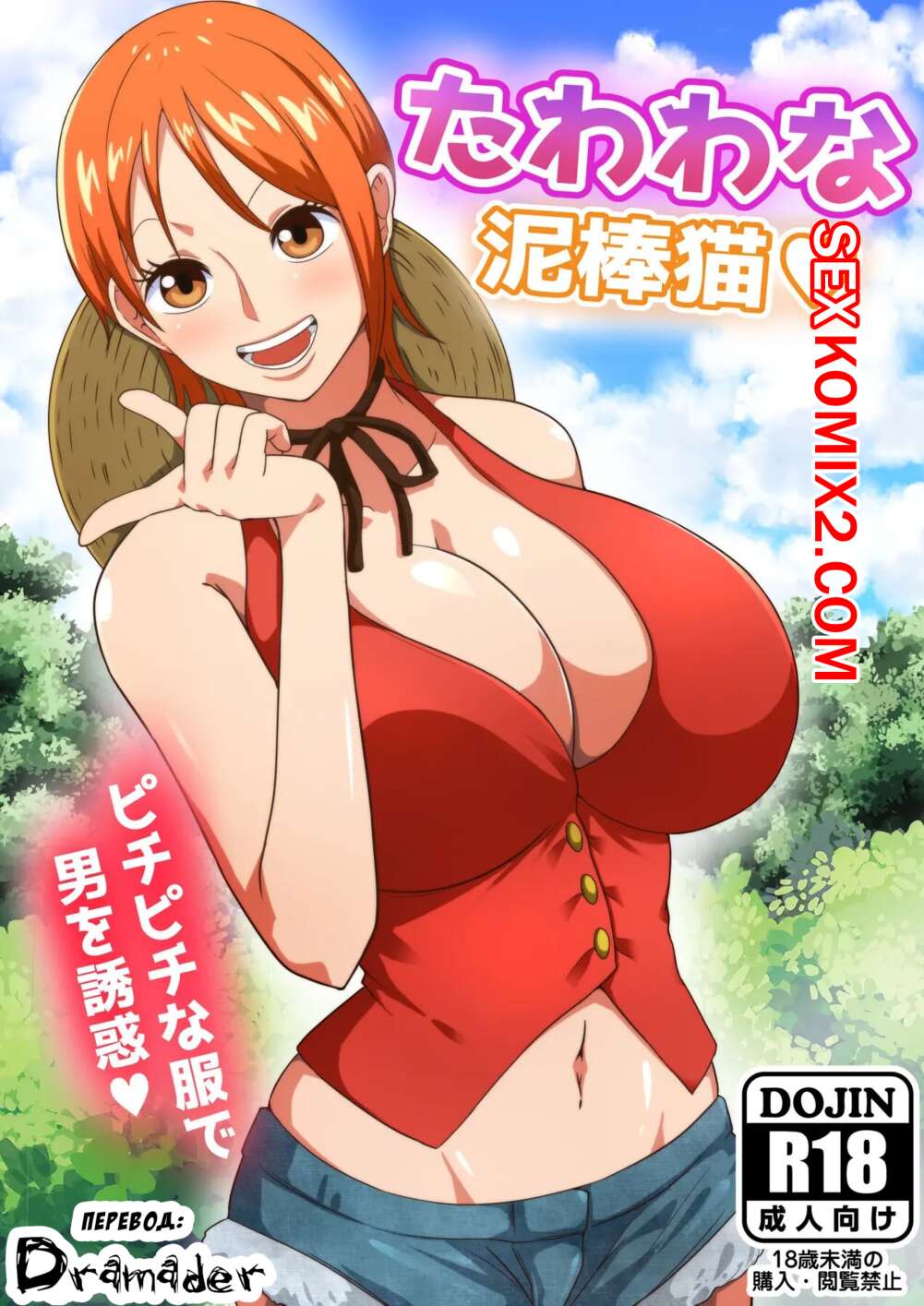 Порно комикс One Piece. Грудастая воришка. Tawawa na Dorobouneko. A Busty Thief