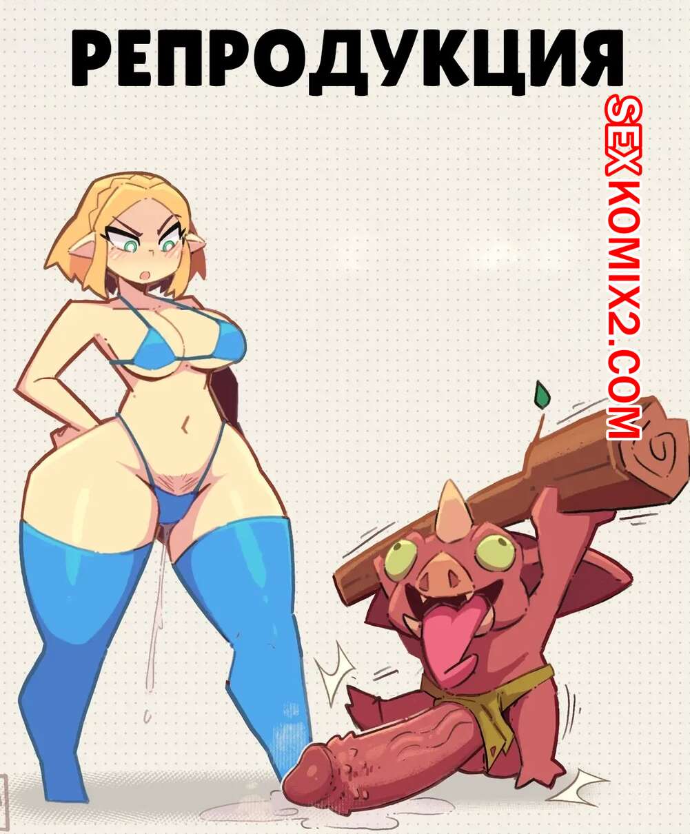 Порно комикс The Legend of Zelda. Репродукция. Reproduction. Pixzapix